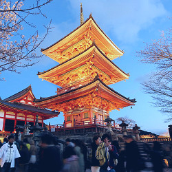 Japan to reopen to foreign tourists after two-year pandemic closure | Japan  | The Guardian